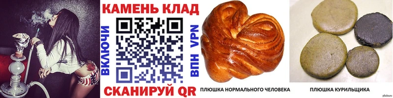где купить наркотик  Лихославль  Гашиш hashish 