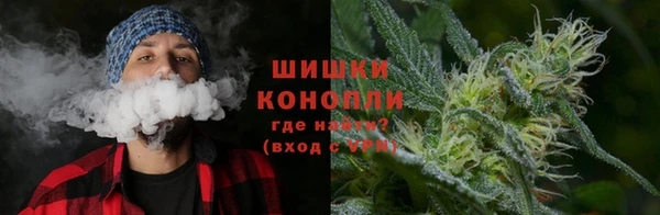стаф Балахна