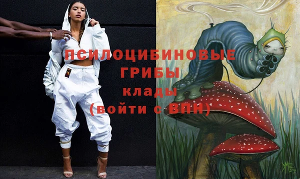 гашик Протвино