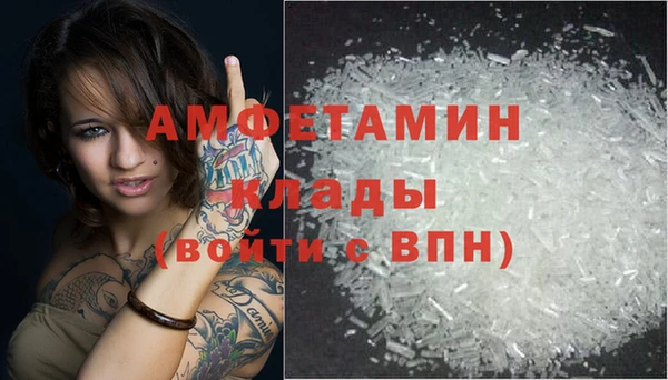 молекула духа Арсеньев