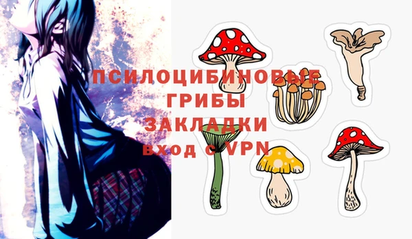 гашик Протвино