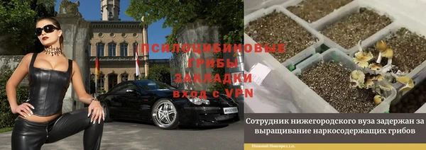 молекула духа Арсеньев
